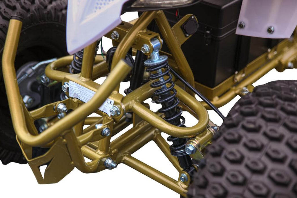 Arktis Motors barnminiquad 110CC helautomatisk, svart/grön