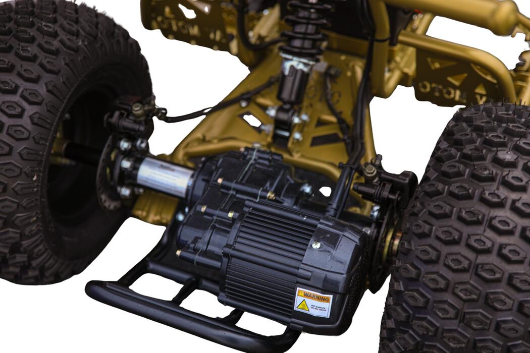 Arktis Motors barnminiquad 110CC helautomatisk, svart/grön