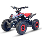 Arktis Motors barnminiquad 110CC helautomatisk, svart/grön