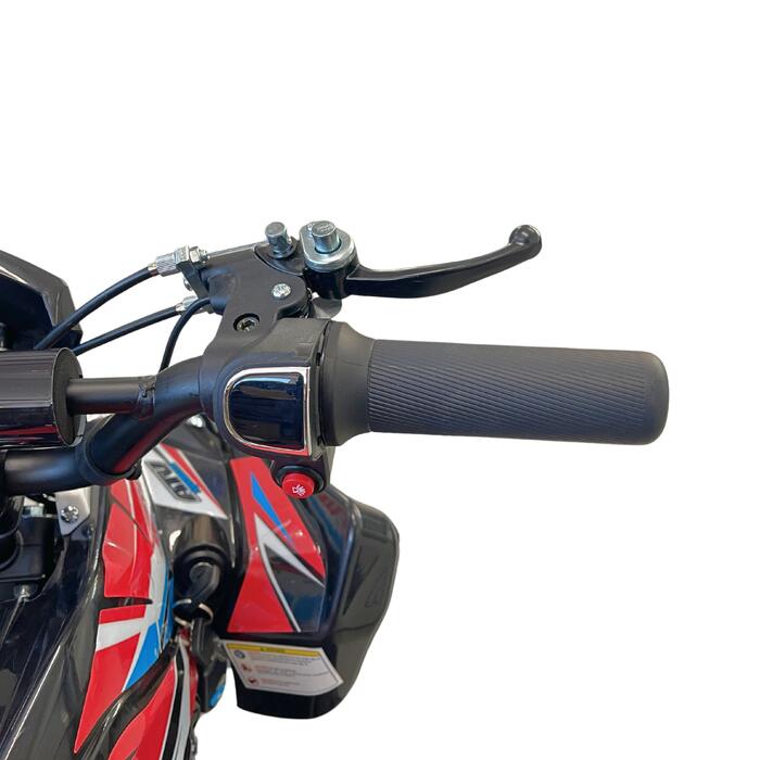 Arktis Motors barnminiquad 110CC helautomatisk, svart/grön