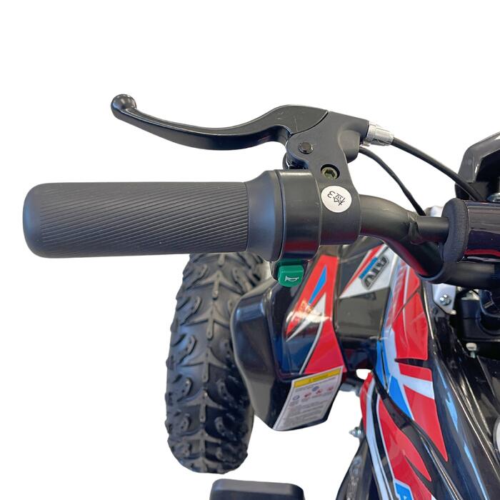 Arktis Motors barnminiquad 110CC helautomatisk, svart/grön