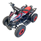 Arktis Motors barnminiquad 110CC helautomatisk, svart/grön