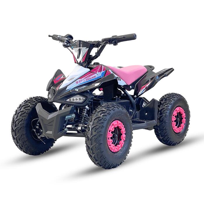 Arktis Motors barnminiquad 110CC helautomatisk, svart/grön