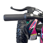 Arktis Motors barnminiquad 110CC helautomatisk, svart/grön