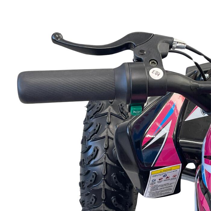 Arktis Motors barnminiquad 110CC helautomatisk, svart/grön