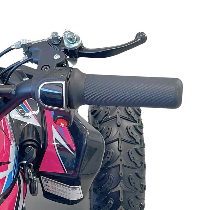 Arktis Motors barnminiquad 110CC helautomatisk, svart/grön