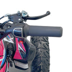 Arktis Motors barnminiquad 110CC helautomatisk, svart/grön