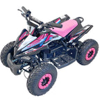 Arktis Motors barnminiquad 110CC helautomatisk, svart/grön