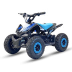 Arktis Motors barnminiquad 110CC helautomatisk, svart/grön