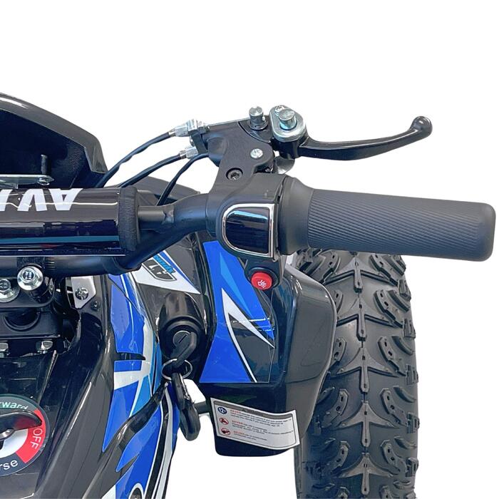 Arktis Motors barnminiquad 110CC helautomatisk, svart/grön