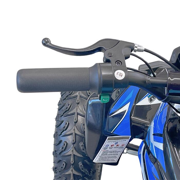 Arktis Motors barnminiquad 110CC helautomatisk, svart/grön