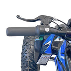 Arktis Motors barnminiquad 110CC helautomatisk, svart/grön