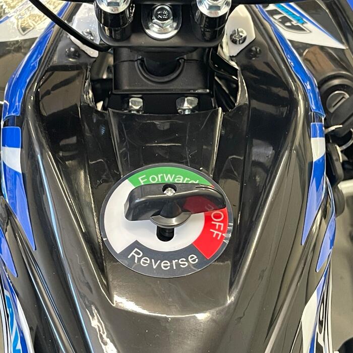 Arktis Motors barnminiquad 110CC helautomatisk, svart/grön