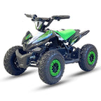 Arktis Motors barnminiquad 110CC helautomatisk, svart/grön