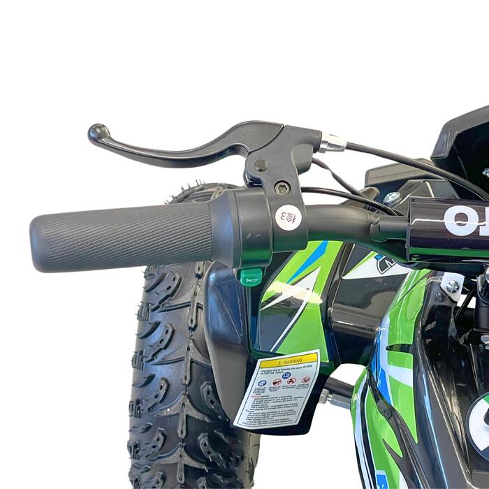 Arktis Motors barnminiquad 110CC helautomatisk, svart/grön