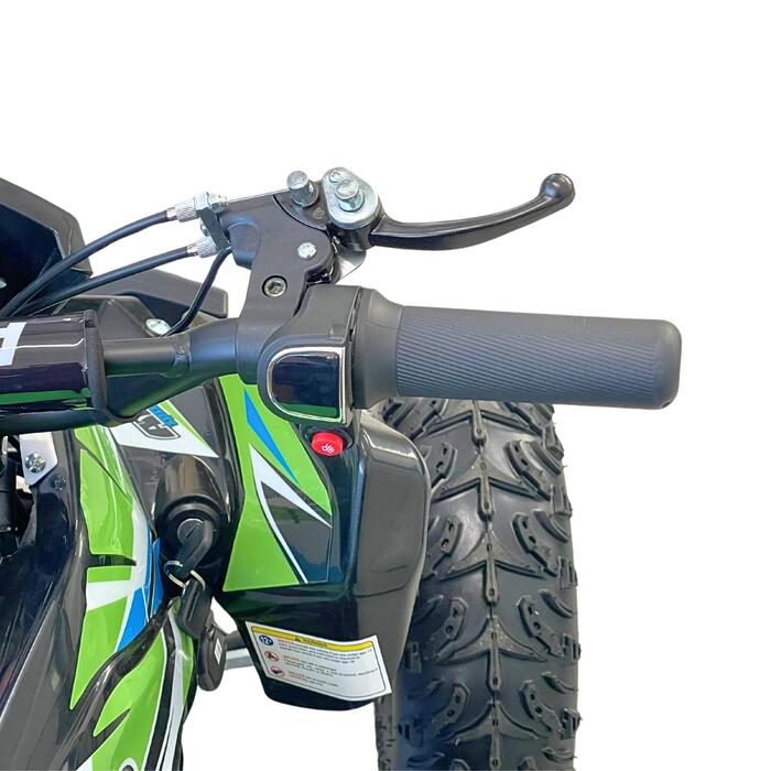 Arktis Motors barnminiquad 110CC helautomatisk, svart/grön