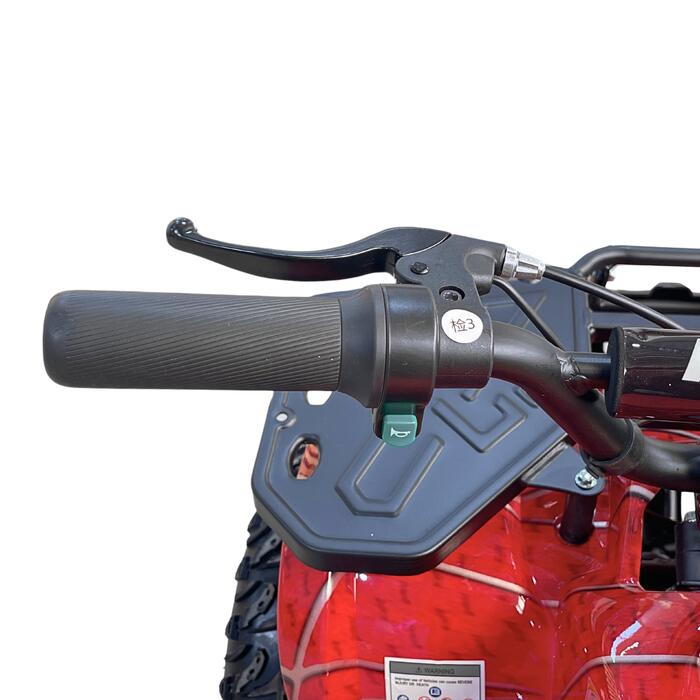 Arktis Motors barnminiquad 110CC helautomatisk, svart/grön