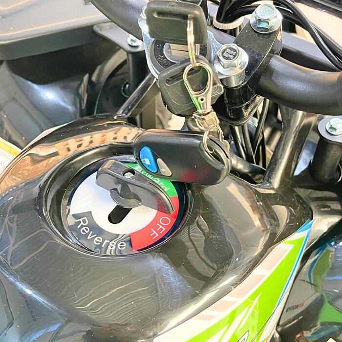 Arktis Motors barnminiquad 110CC helautomatisk, svart/grön