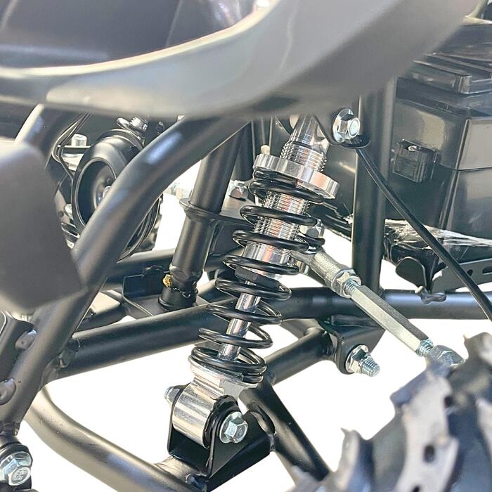 Arktis Motors barnminiquad 110CC helautomatisk, svart/grön