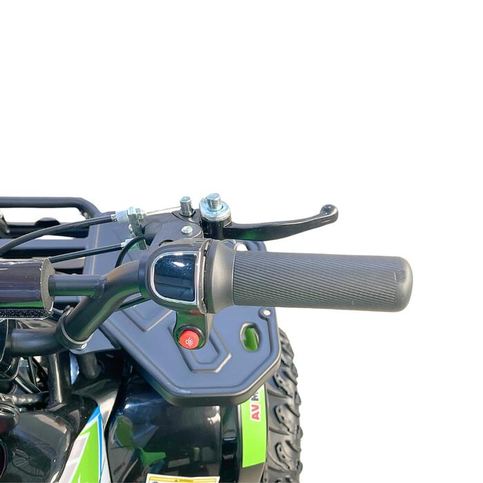 Arktis Motors barnminiquad 110CC helautomatisk, svart/grön