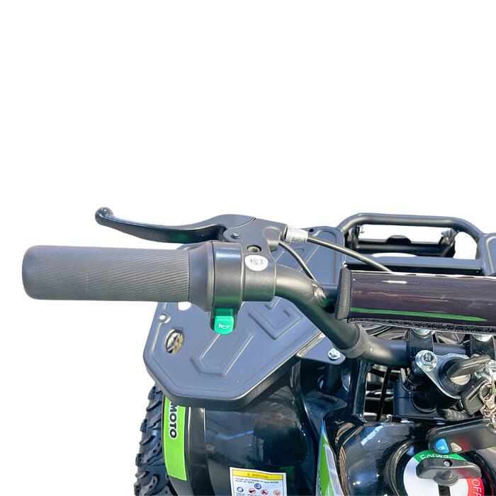 Arktis Motors barnminiquad 110CC helautomatisk, svart/grön