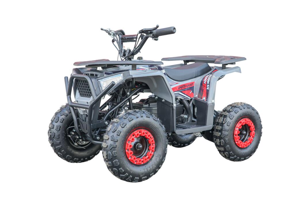 Arktis Motors barnminiquad 110CC helautomatisk, svart/grön