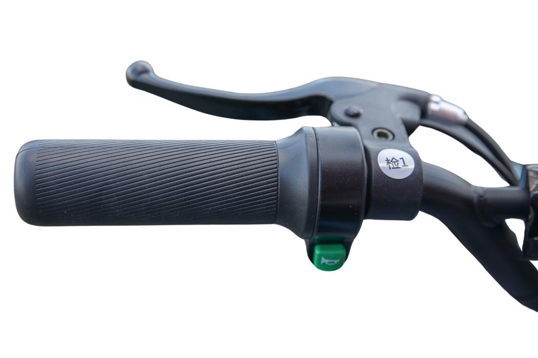 Arktis Motors barnminiquad 110CC helautomatisk, svart/grön