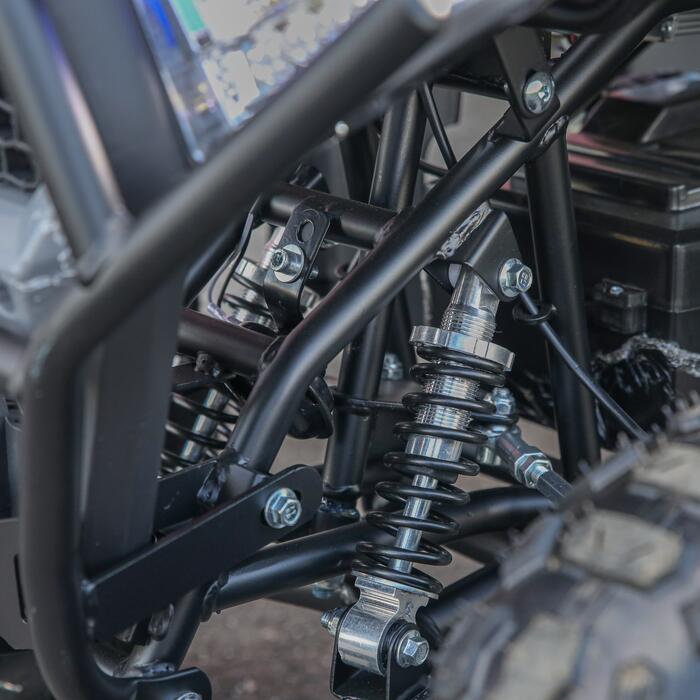 Arktis Motors barnminiquad 110CC helautomatisk, svart/grön