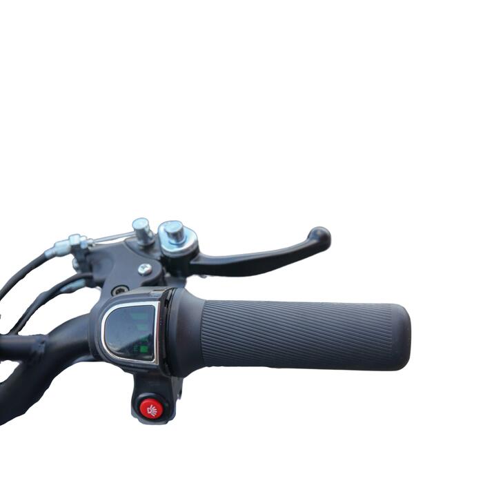 Arktis Motors barnminiquad 110CC helautomatisk, svart/grön