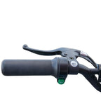 Arktis Motors barnminiquad 110CC helautomatisk, svart/grön