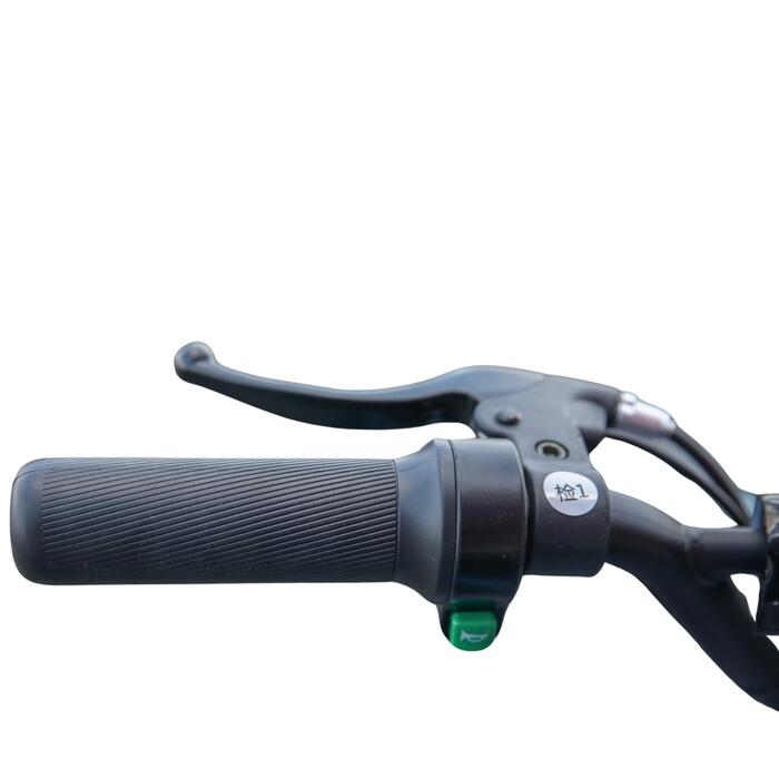 Arktis Motors barnminiquad 110CC helautomatisk, svart/grön