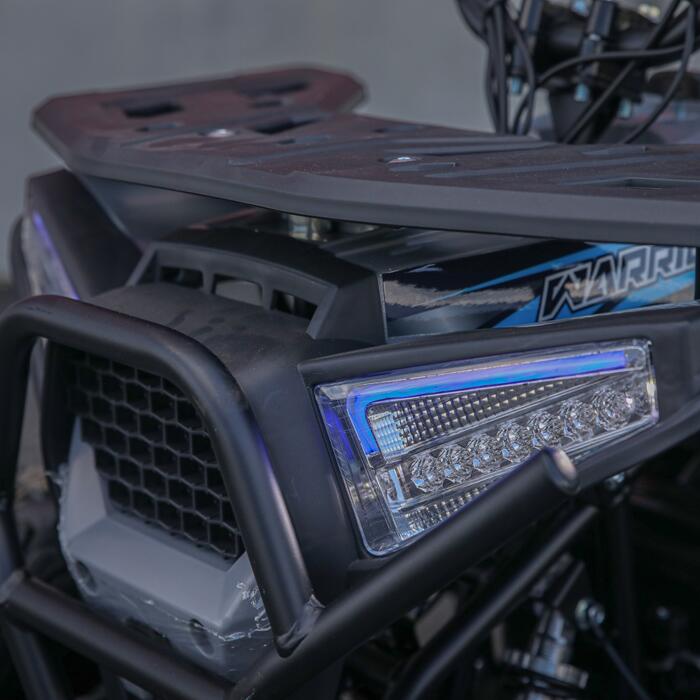 Arktis Motors barnminiquad 110CC helautomatisk, svart/grön