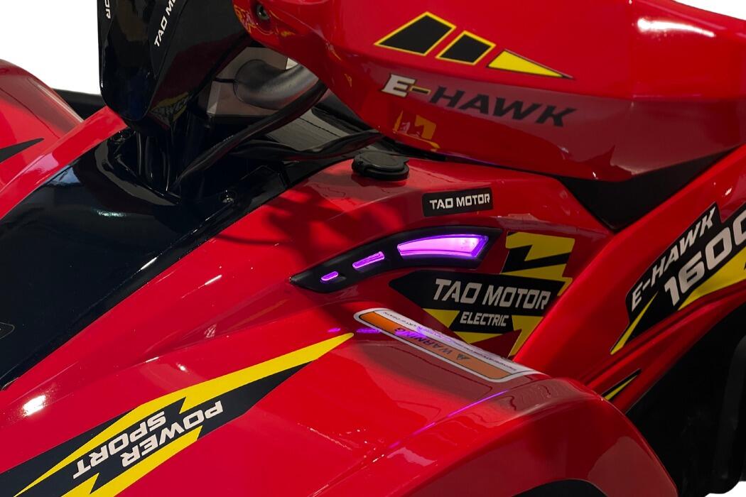 Arktis Motors barnminiquad 110CC helautomatisk, svart/grön