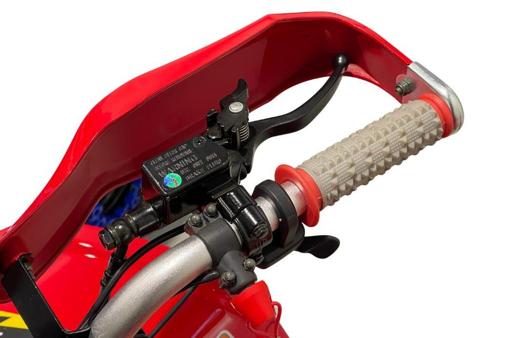 Arktis Motors barnminiquad 110CC helautomatisk, svart/grön