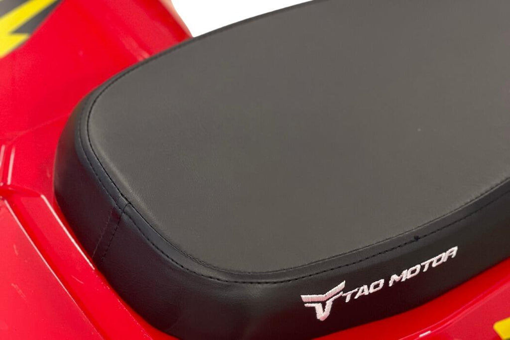 Arktis Motors barnminiquad 110CC helautomatisk, svart/grön