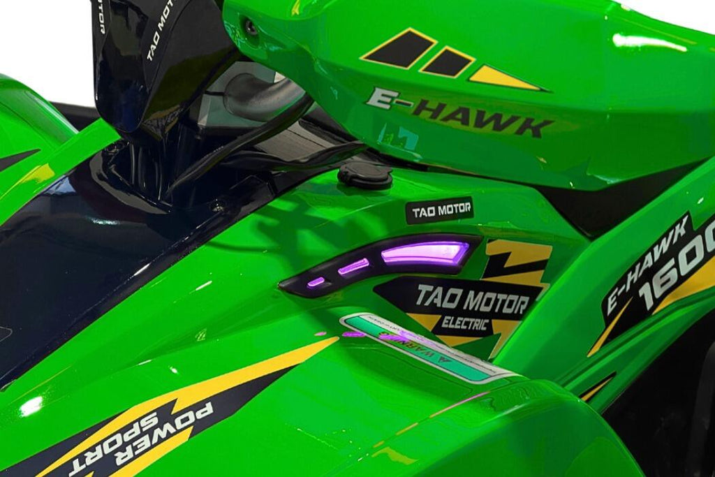 Arktis Motors barnminiquad 110CC helautomatisk, svart/grön