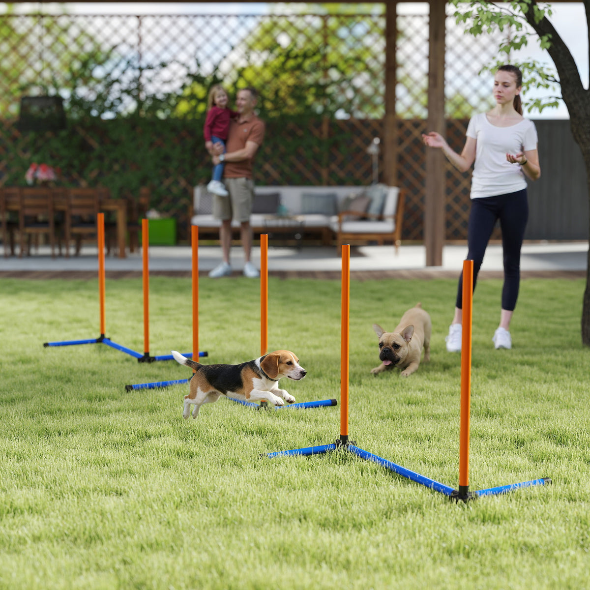 Koiran agility-pujottelukepit, suora tai porrastettu, maapiikit ja kantolaukku, oranssi