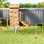 Koiran agility-setti 3 osaa: hyppyeste, rengas ja pujottelukepit, täytettävät jalustat, keltainen