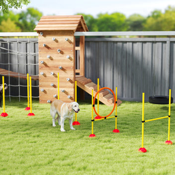 Koiran agility-setti 3 osaa: hyppyeste, rengas ja pujottelukepit, täytettävät jalustat, keltainen