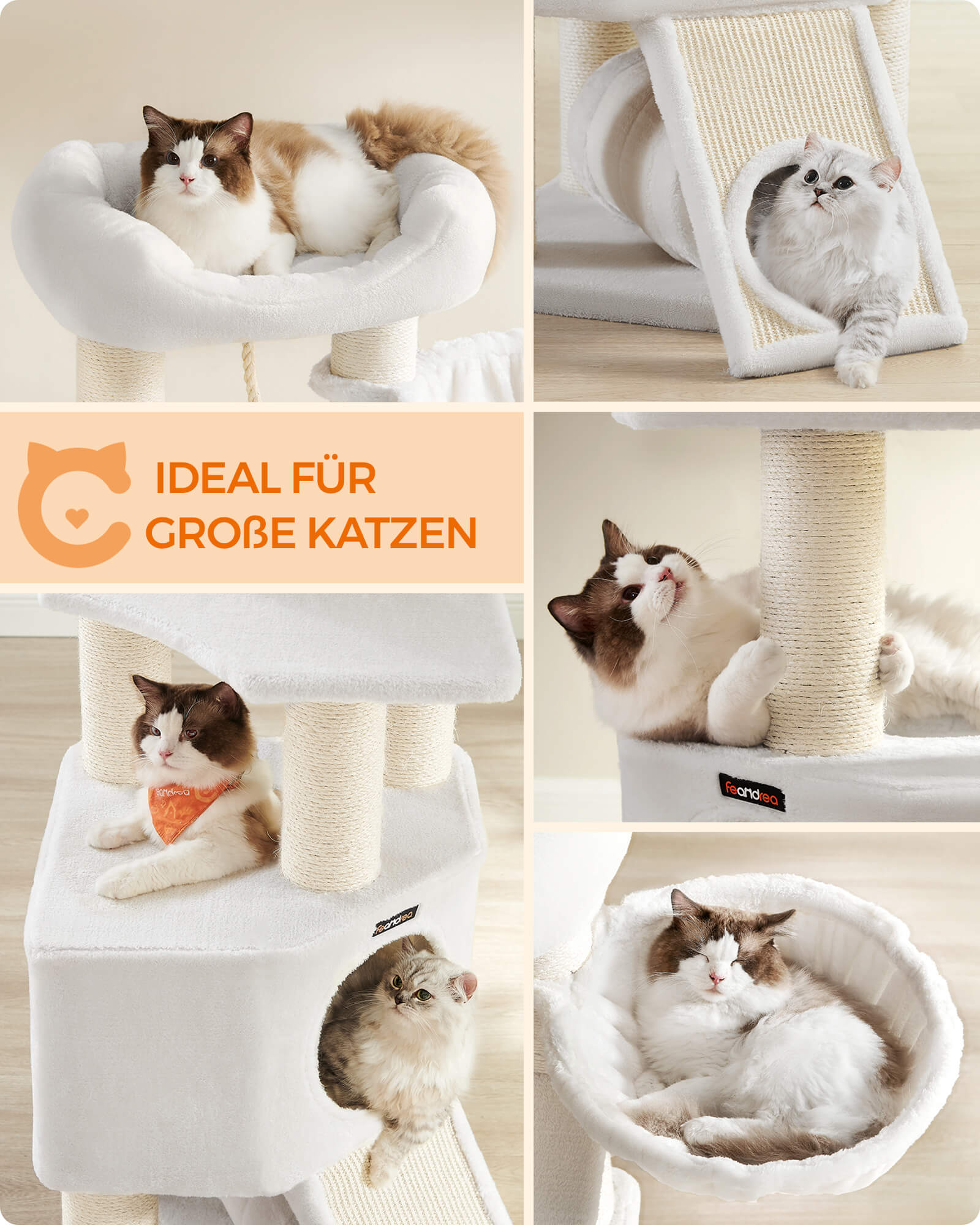 Feandrea Suuri raapimispuu, luola, riippumatto, plyysitaso, tunneli, sisalpylvästä, raapimislauta, 50 x 50 x 141cm, kerma