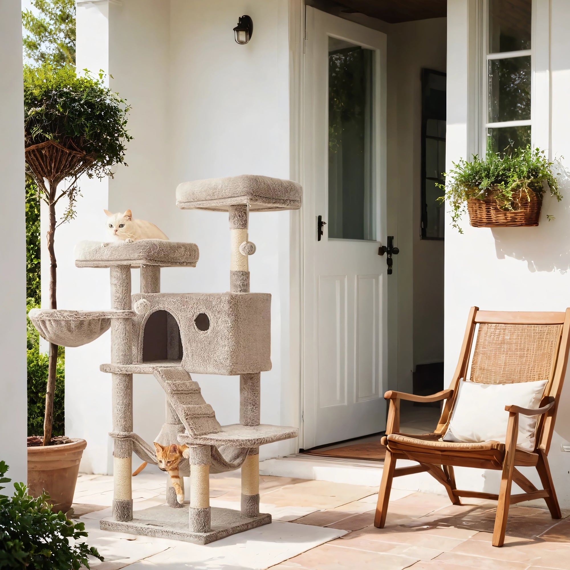 Feandrea raapimapuu pehmeällä päällisellä suurille kissoille, ombre-ruskea ja valkoinen