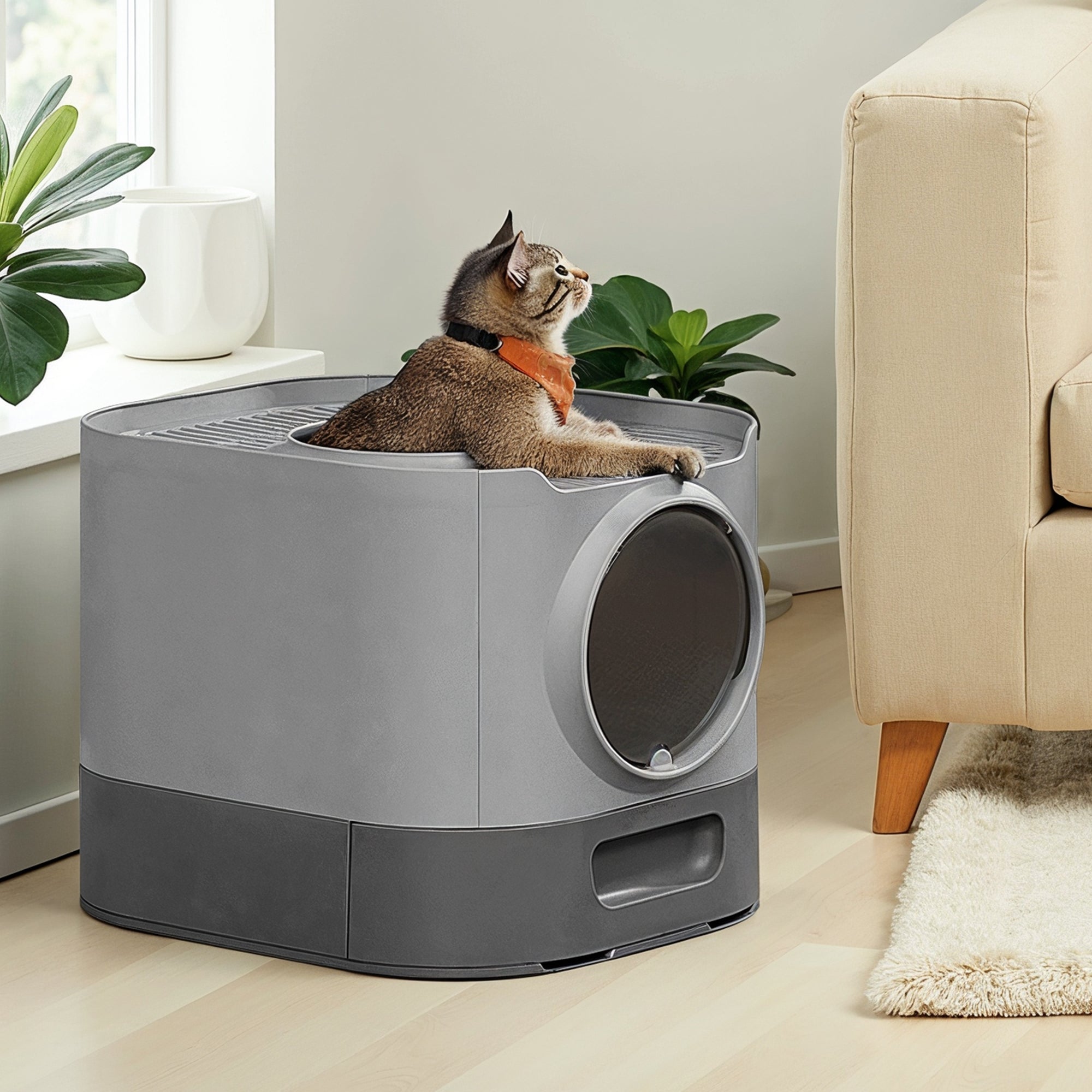 Feandrea XXL-kokoinen hiekkalaatikko kannella, ulosvedettävällä tarjottimella, lapiolla ja harjalla, tilava suurille kissoille, vähemmän hiekkaa lattialle, tiivis pohja, kyyhkynliidunharmaa