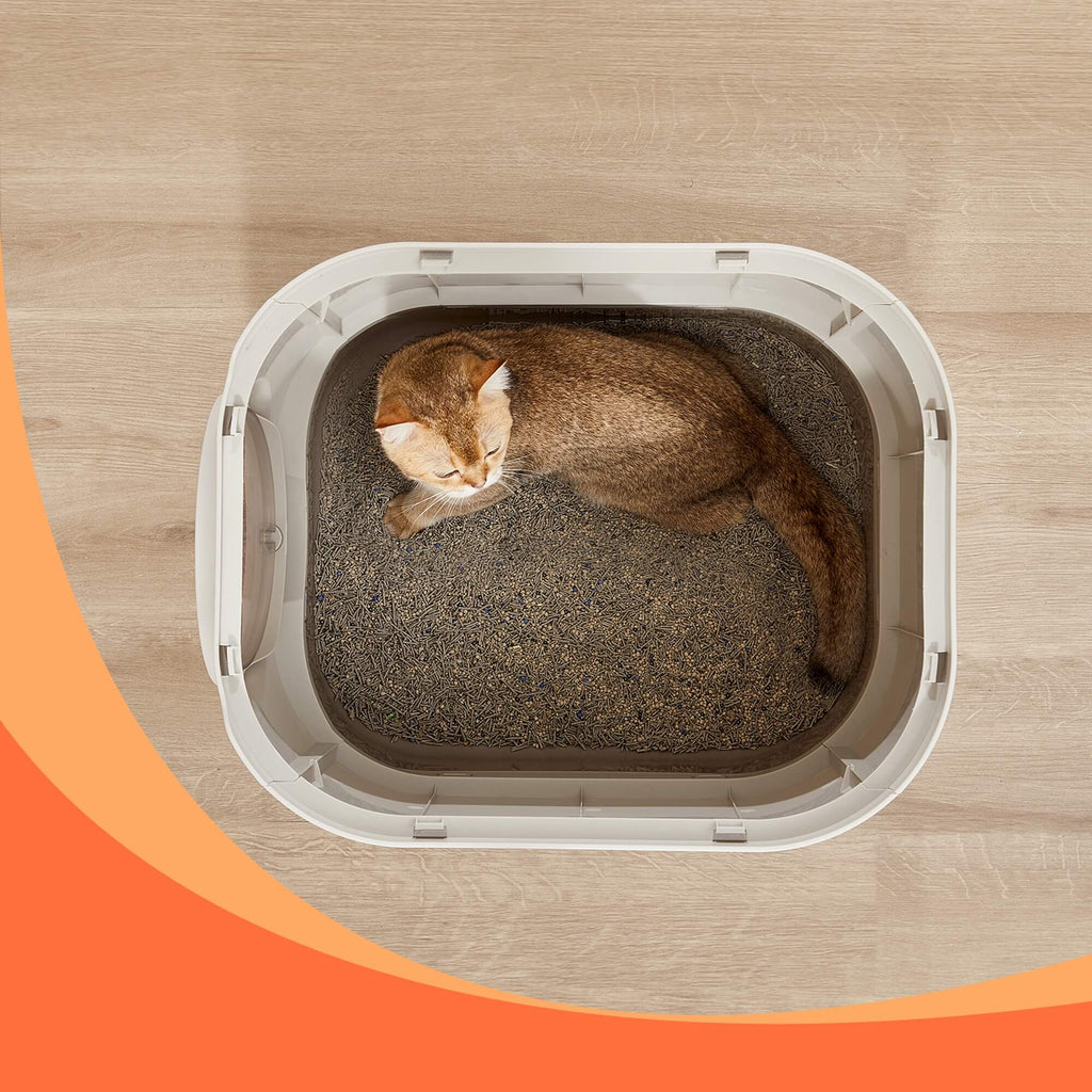 Feandrea XXL-kokoinen hiekkalaatikko kannella, ulosvedettävällä laatikolla, lapiolla ja harjalla, tilava suurille kissoille, vähemmän jälkiä, tiivis pohja, lämmin kauranharmaa