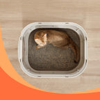 Feandrea XXL-kokoinen hiekkalaatikko kannella, ulosvedettävällä laatikolla, lapiolla ja harjalla, tilava suurille kissoille, vähemmän jälkiä, tiivis pohja, lämmin kauranharmaa