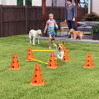 Koiran agility-esteet 3 kpl kartioilla, 3 korkeutta, kantolaukku, oranssi