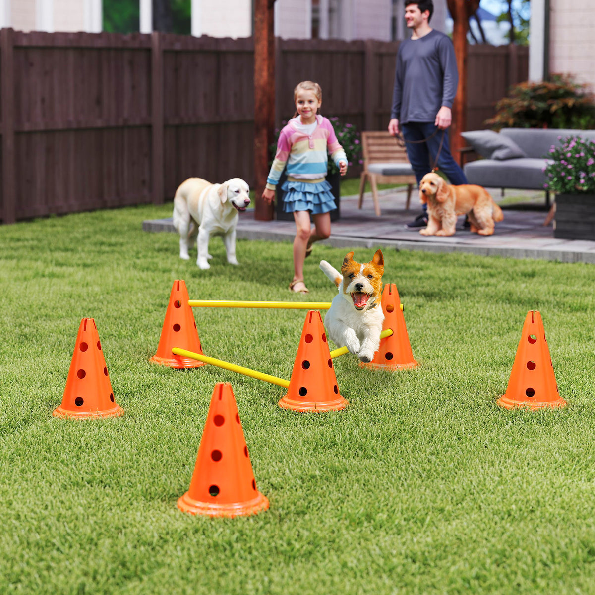 Koiran agility-esteet 3 kpl kartioilla, 3 korkeutta, kantolaukku, oranssi
