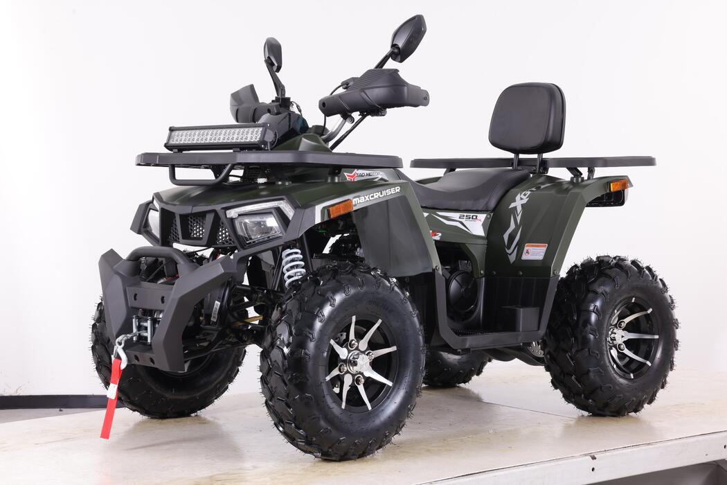 Arktis Motors barnminiquad 110CC helautomatisk, svart/grön