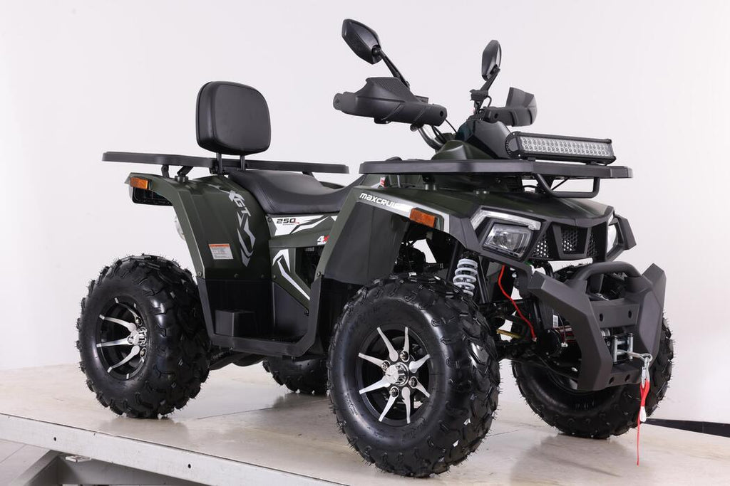 Arktis Motors barnminiquad 110CC helautomatisk, svart/grön