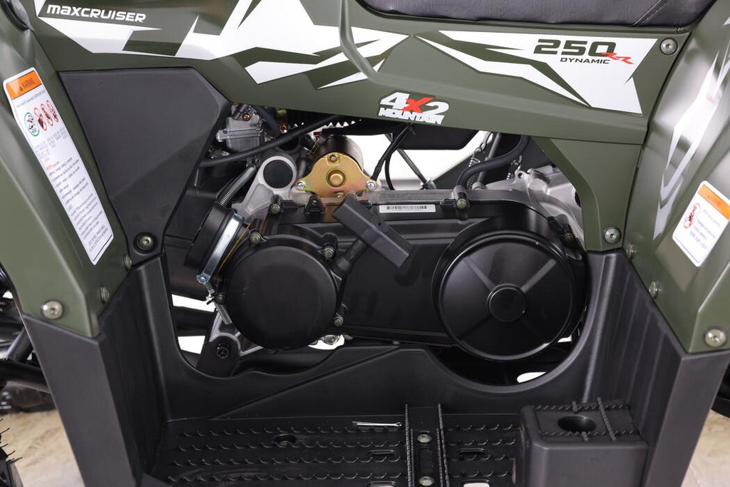 Arktis Motors barnminiquad 110CC helautomatisk, svart/grön