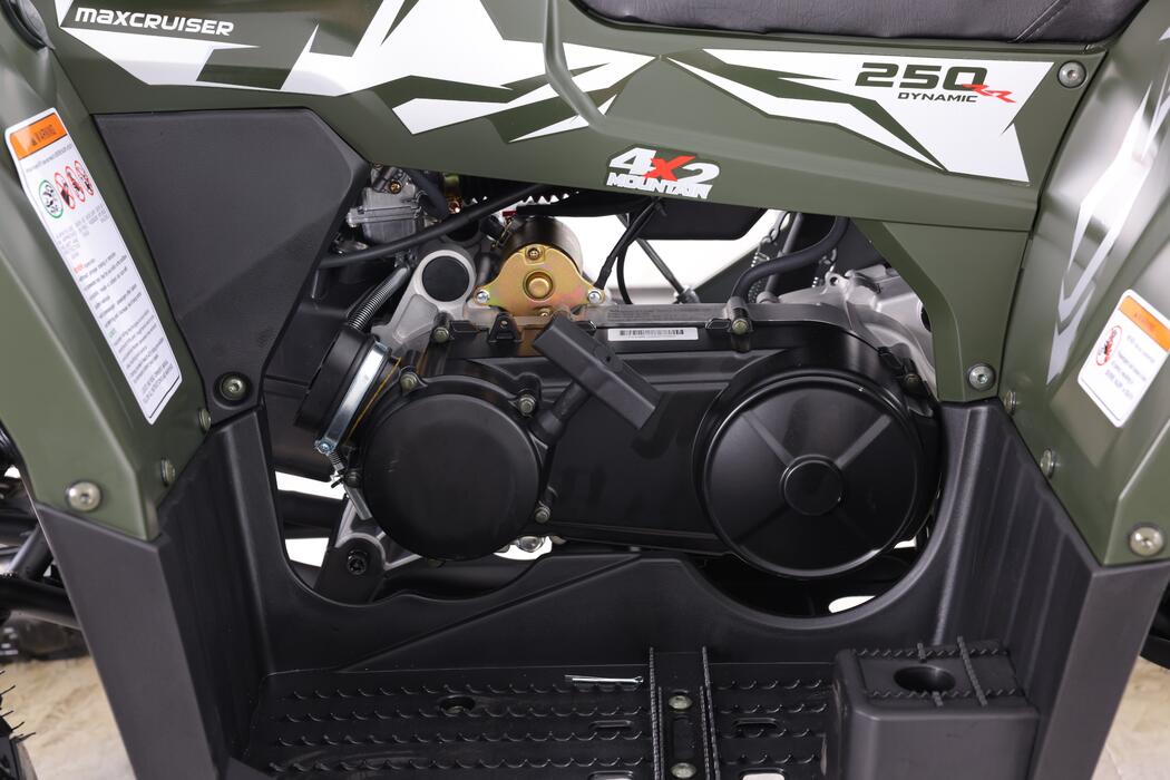 Arktis Motors barnminiquad 110CC helautomatisk, svart/grön